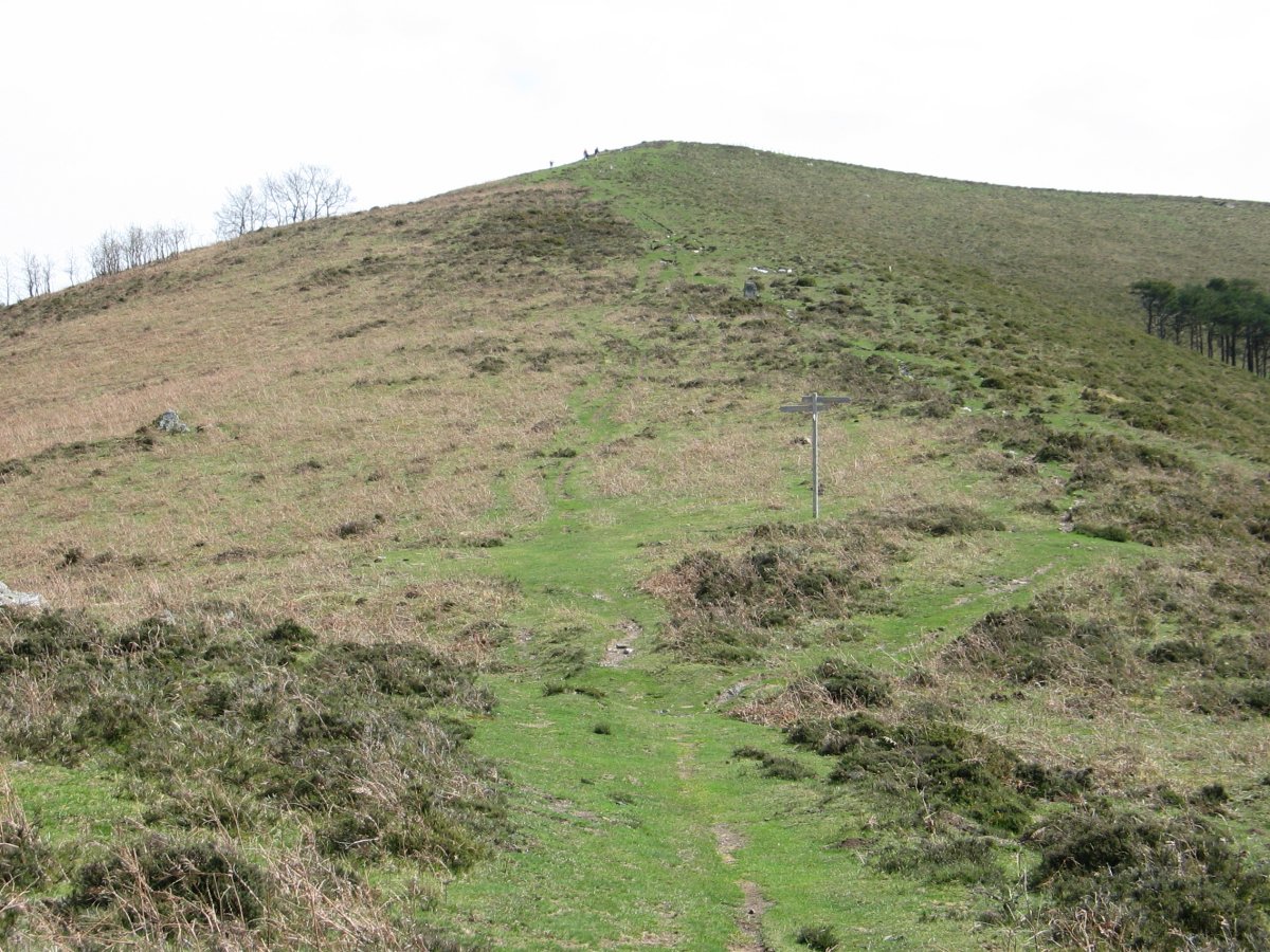 Izu tontorra ekialdeko lepotik