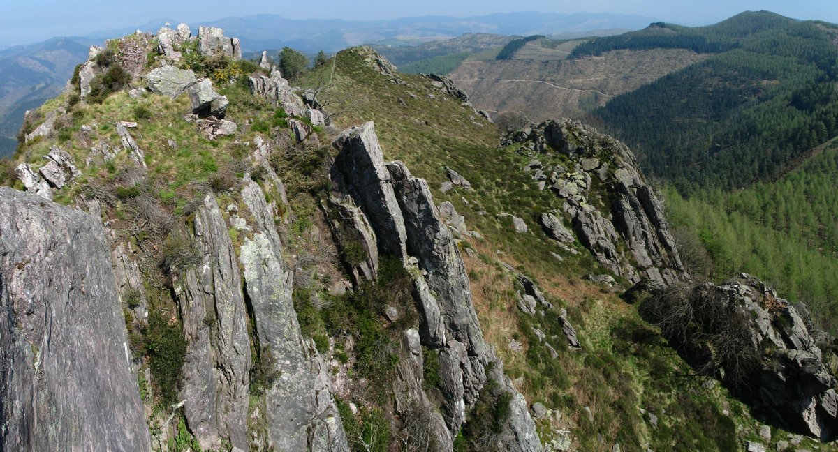 Tontorreko ikuspegia