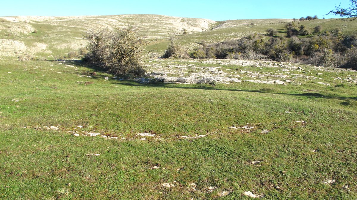 Anuelen 1 tumulua, Andia