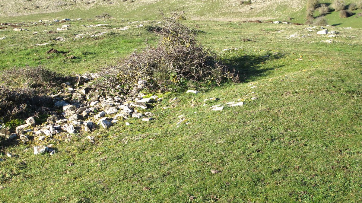 Anuelen 2 tumulua, Andia