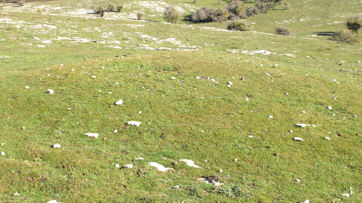 Iguzpegi 4 etxola hondoa, Andia