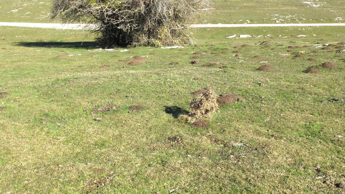 Usalderen 3 etxola hondoa, Andia