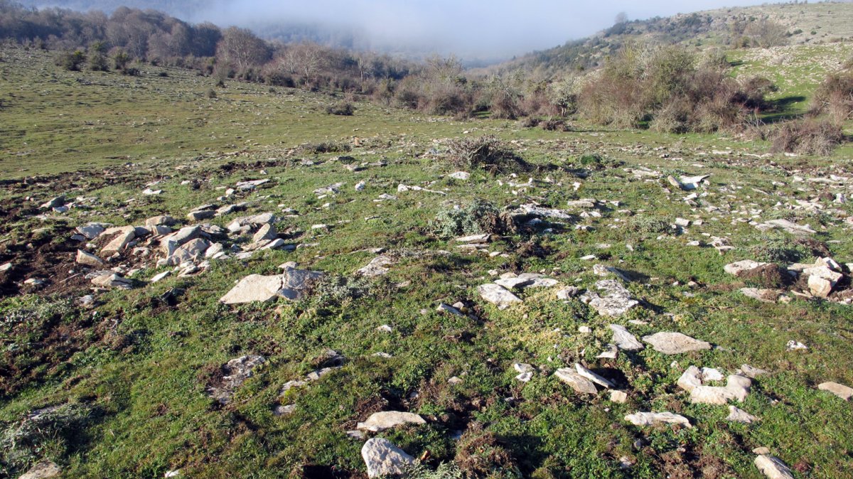 Usaleze 3 tumulua, Andia