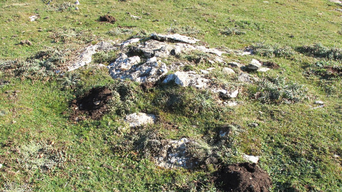 Agin 2 tumulua, Andia