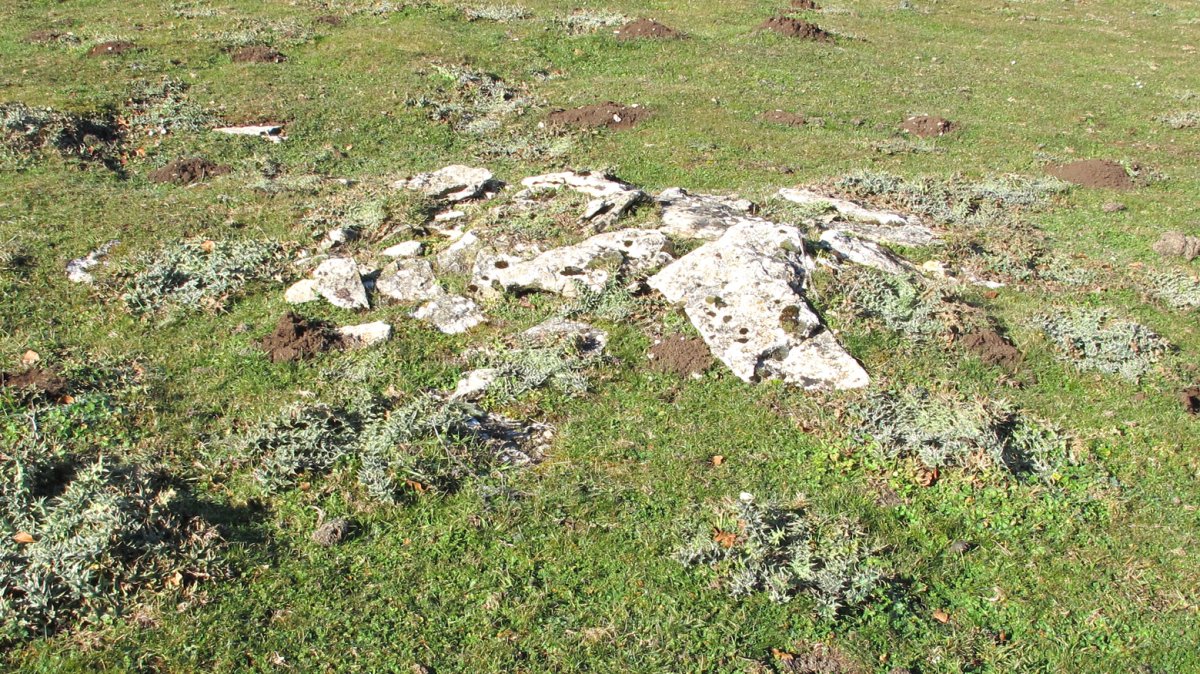 Agin 2 tumulua, Andia