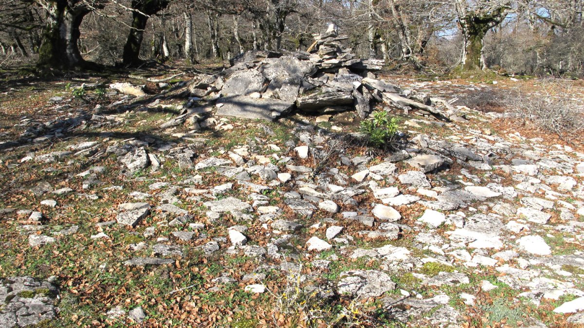 Monosarios 1 tumulua, Andia