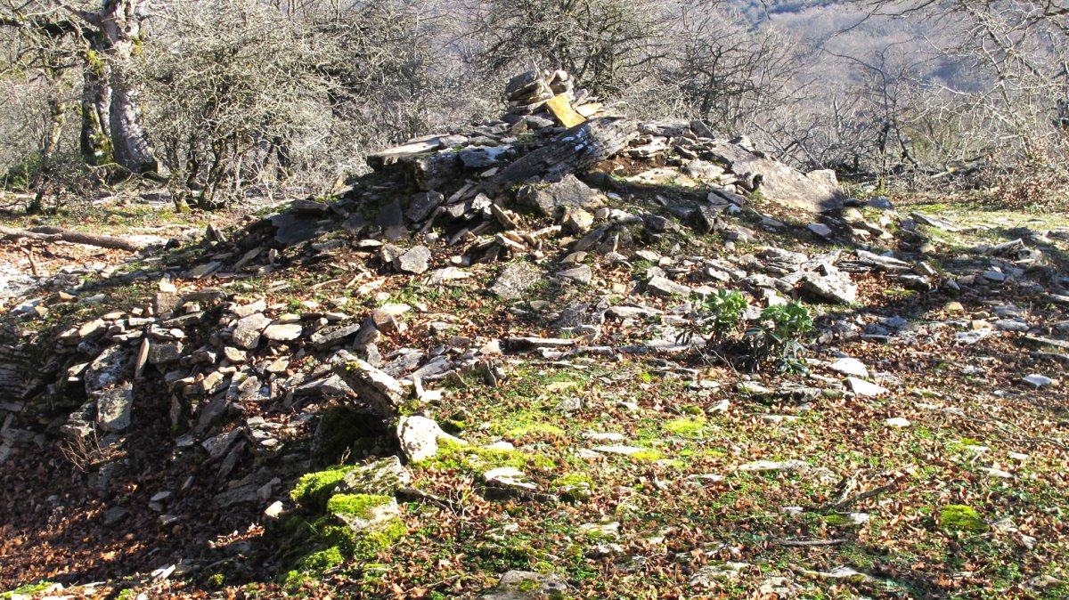 Monosarios 1 tumulua, Andia