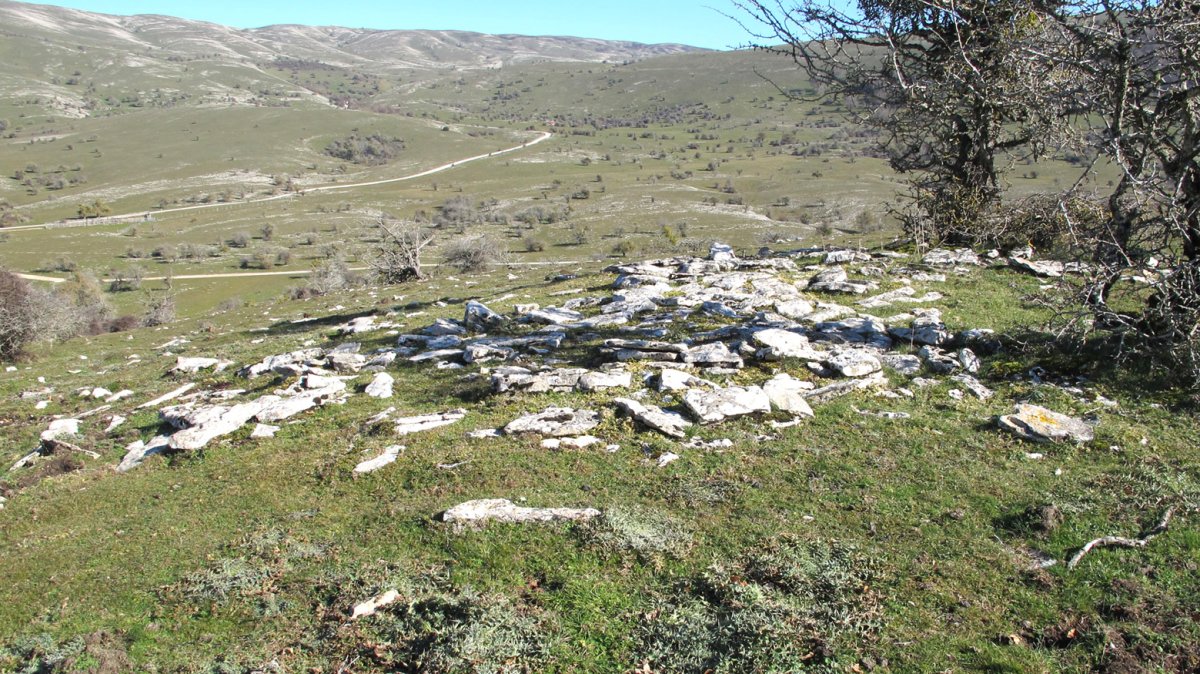 Ixaren Suroeste etxola hondoa, Andia