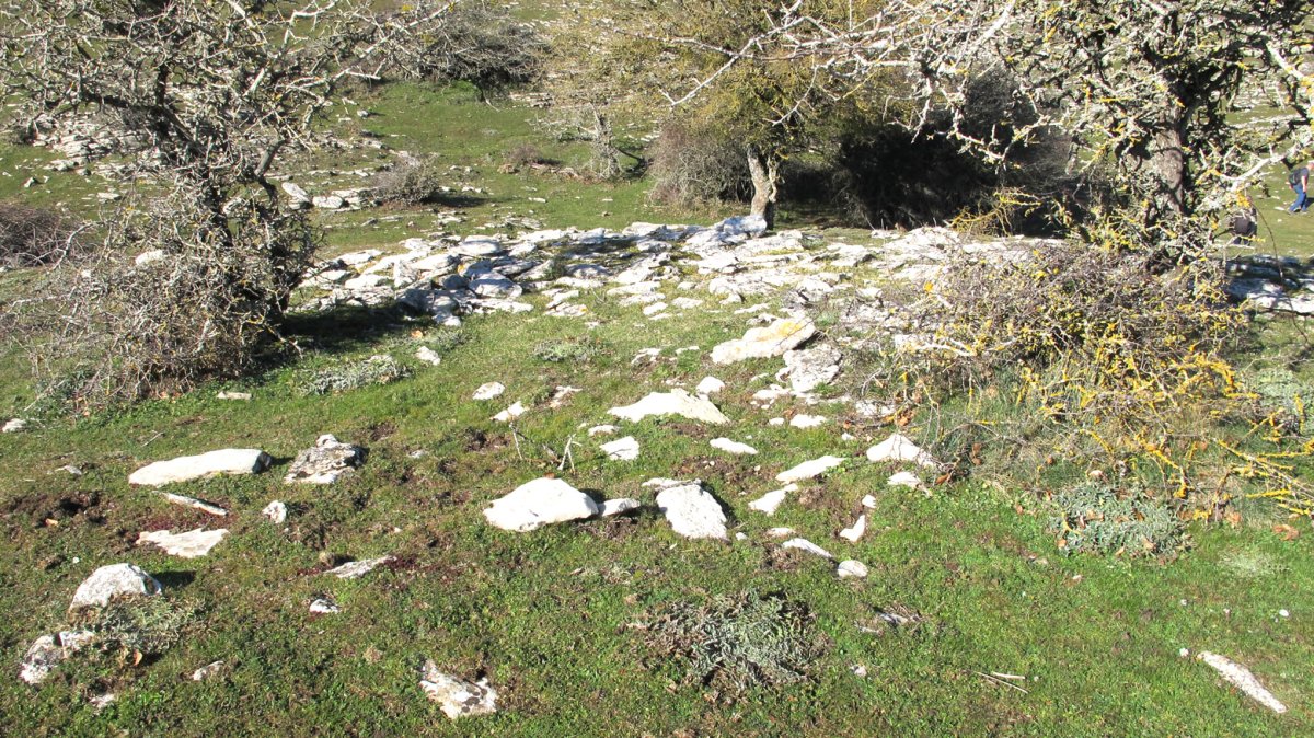 Ixaren Suroeste etxola hondoa, Andia