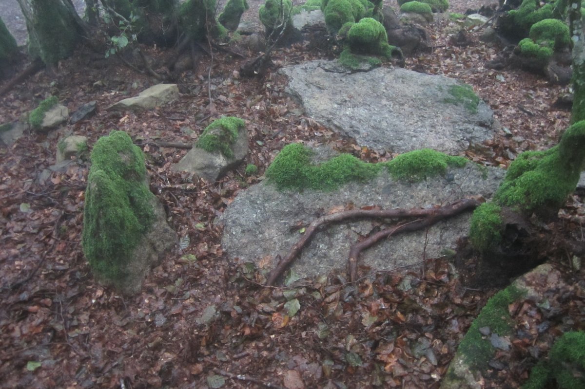 Dólmen Azkonazulueta (09-2021)