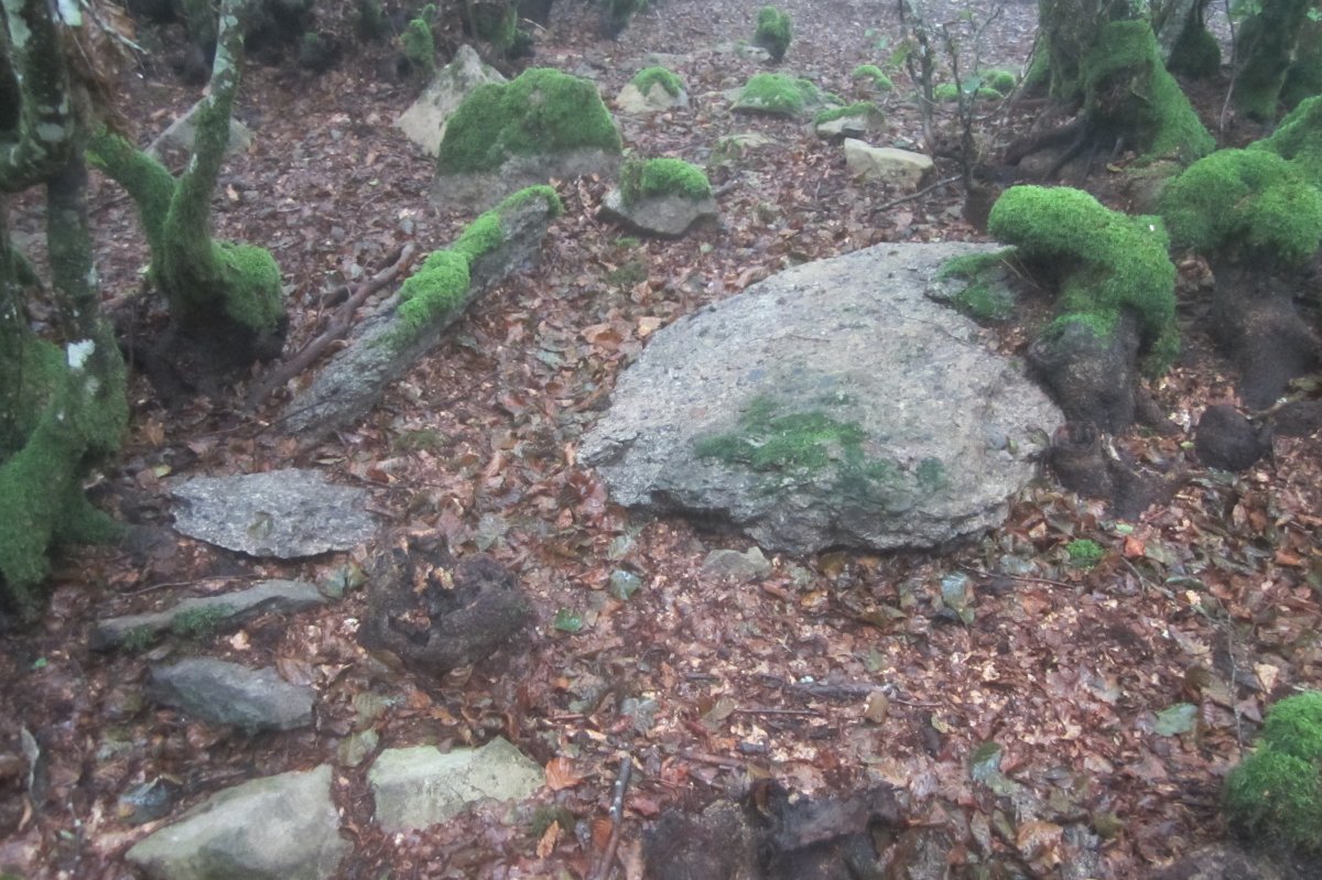 Dólmen Azkonazulueta  (09-2021)