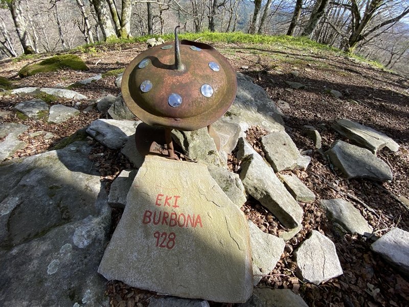 Buzoia Ekialdeko Tontorran