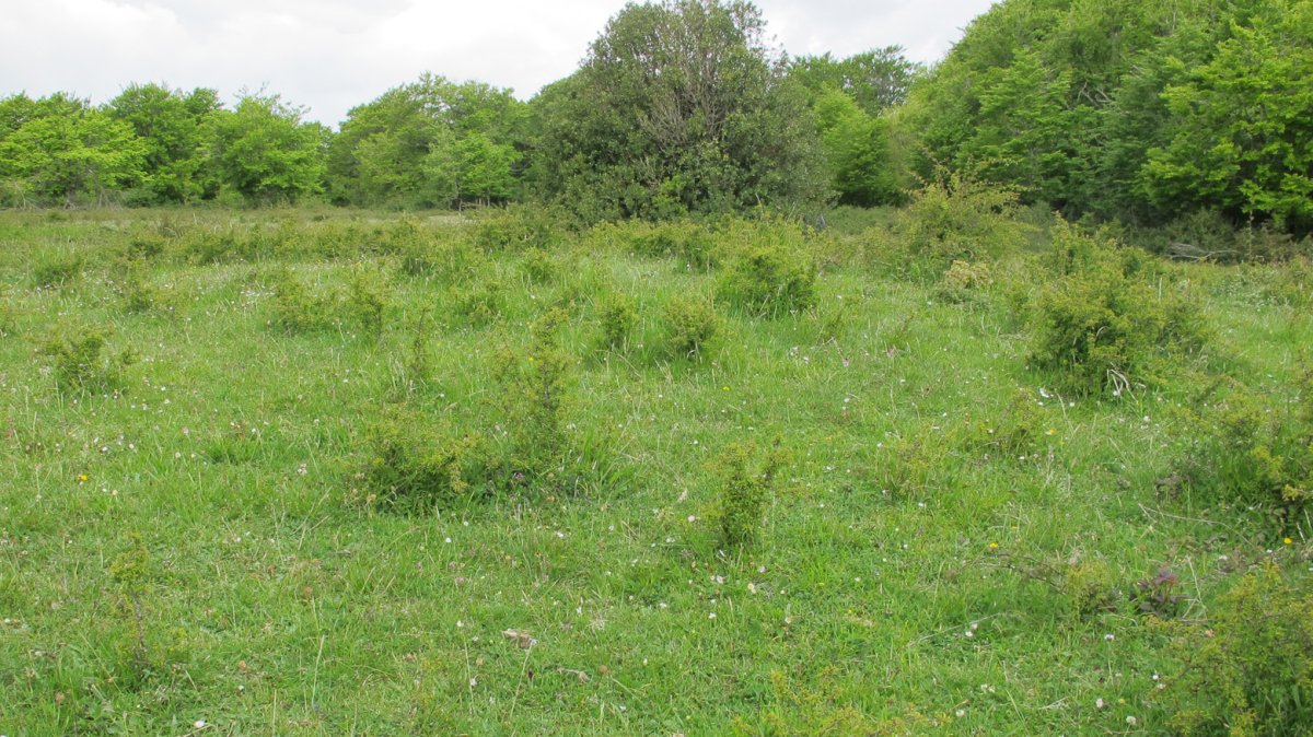 Sietehayas 2 etxola hondoa, Urdotz-Goñi