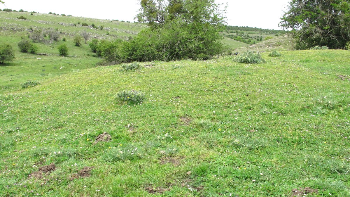 Ingiriko Portillua 3 etxola hondoa, Andia