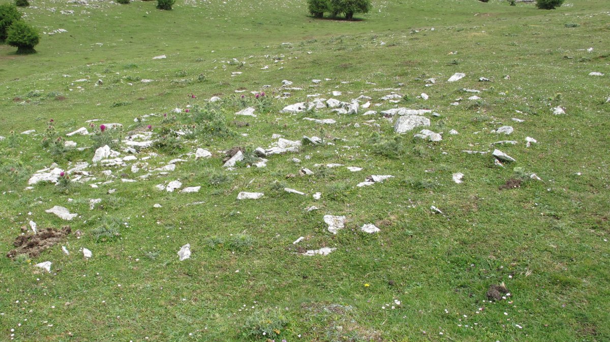 Ingiri 8 tumulua, Andia