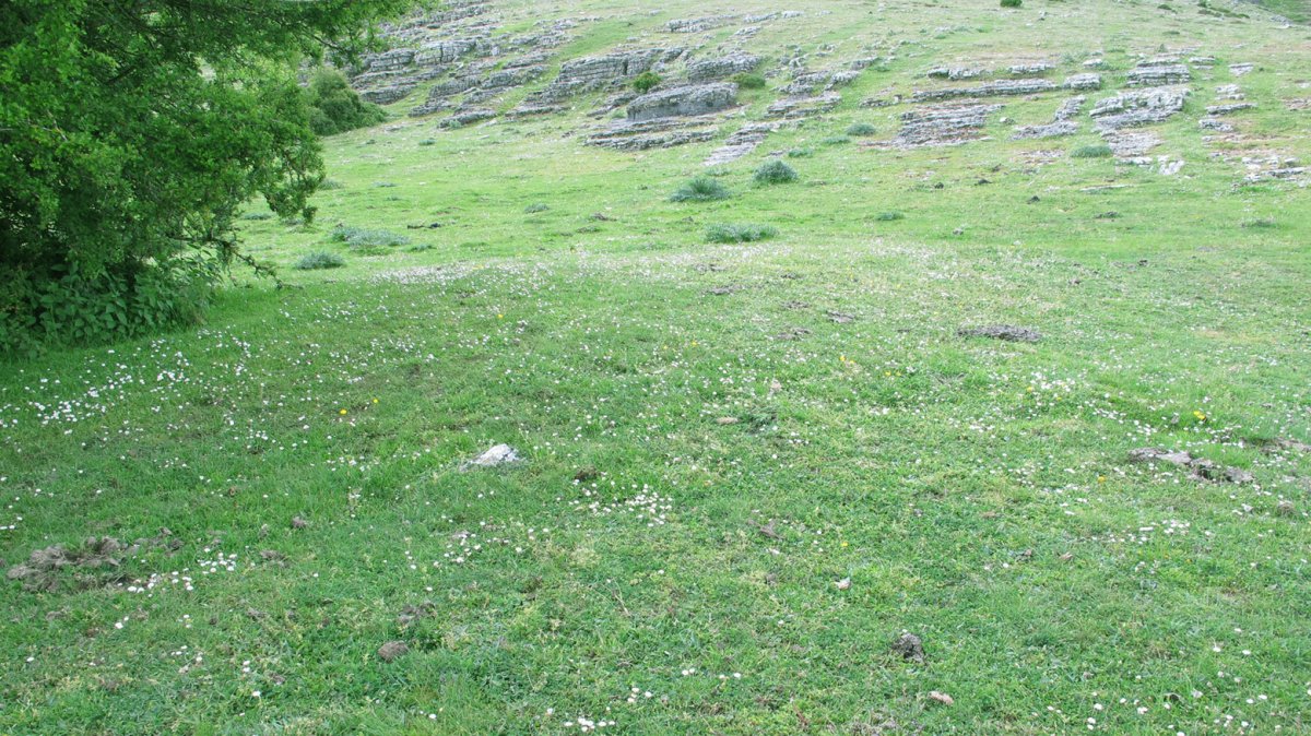 Illarrabeltz 2 etxola hondoa, Andia