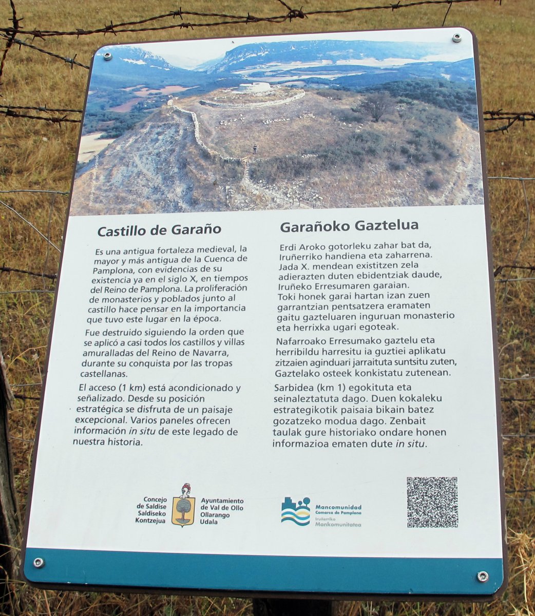 Garañoko Gazelua, Saldise-Ollo