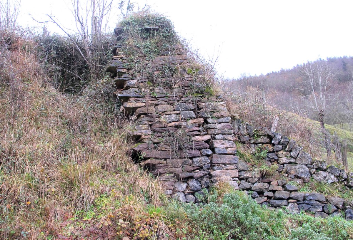 Bertasorota karobia, Berastegi