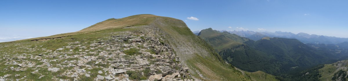 Otsogorrigaina HMko bizkarretik