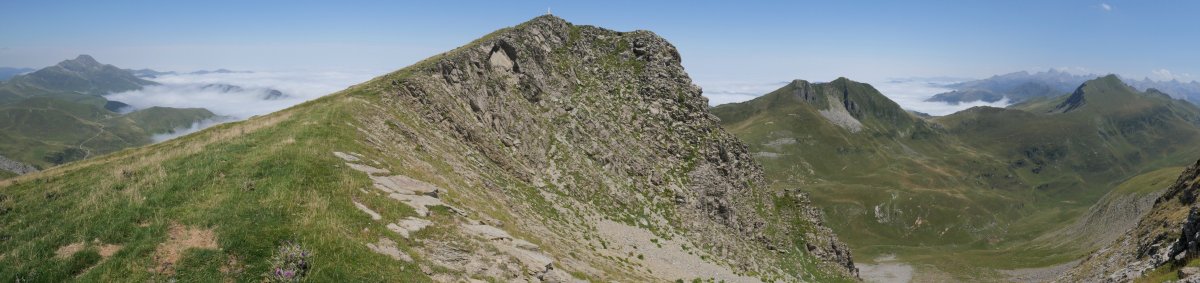 Otsogorrigaina tontorra, hegoaldeko bizkarretik