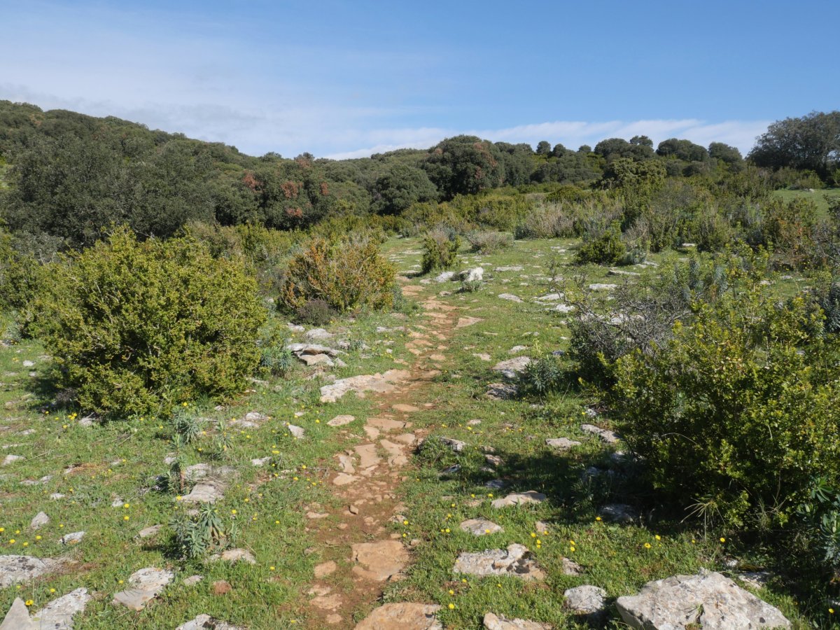 Ekialdeko bizkarreko bidea, Etxauriko Haitza