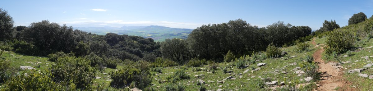 Ekialdeko bizkarreko bidea, Etxauriko Haitza