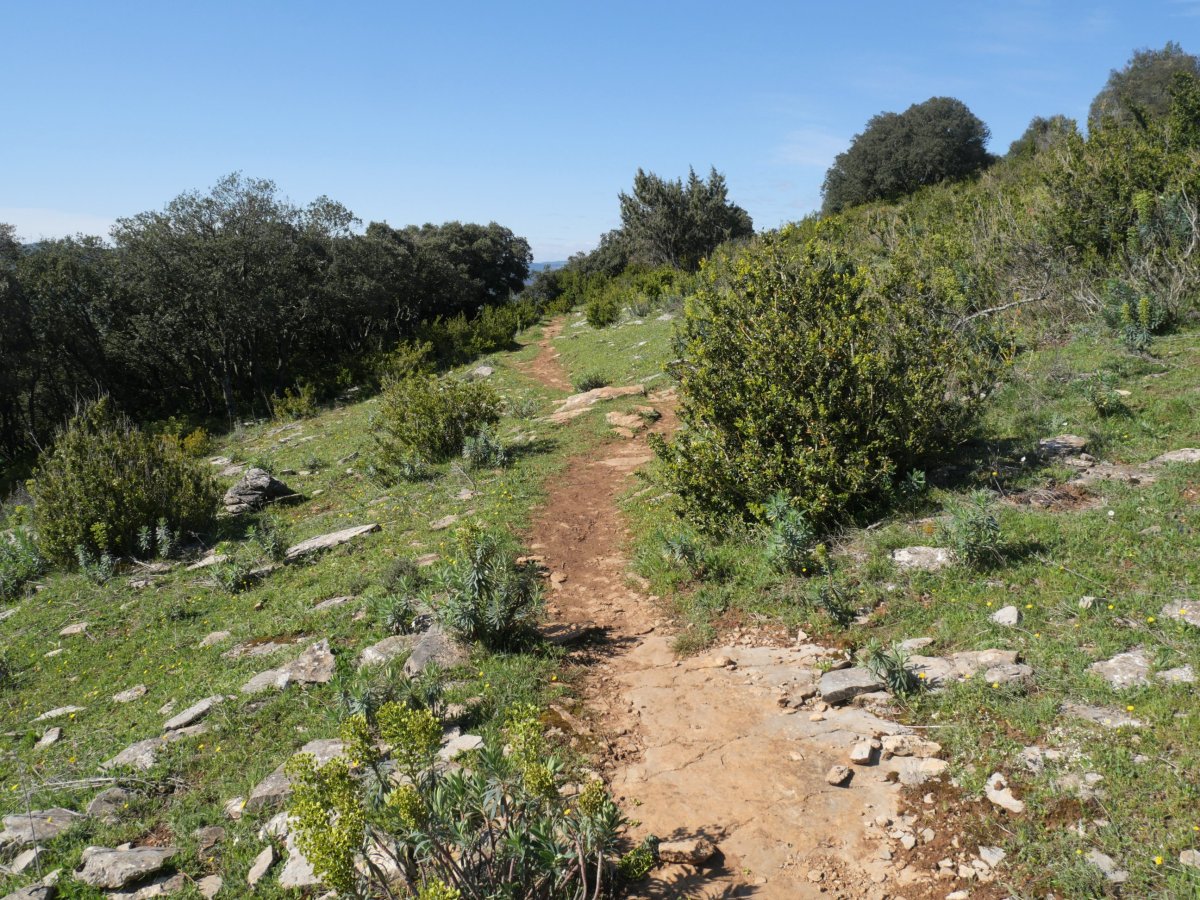 Ekialdeko bizkarreko bidea, Etxauriko Haitza