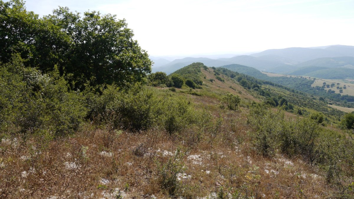 Aritzbakar muinoa ekialdean, Arangaitz aldetik ikusita