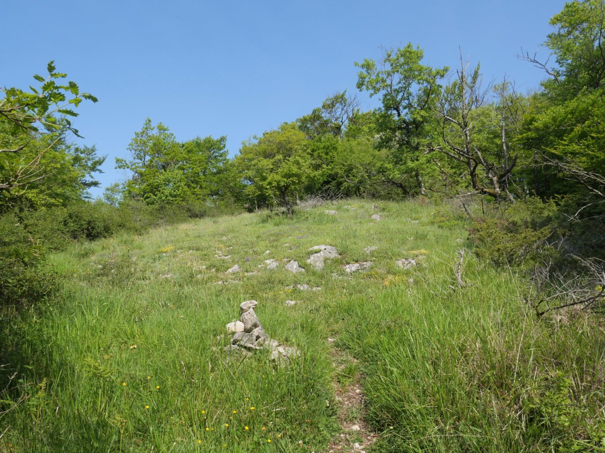 Igoerako azken txanpa, Mendurro