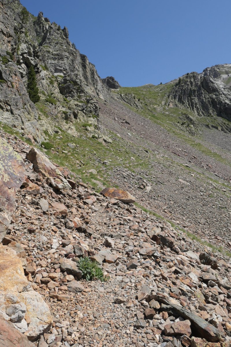 Ibonciechotik gorako aldapa