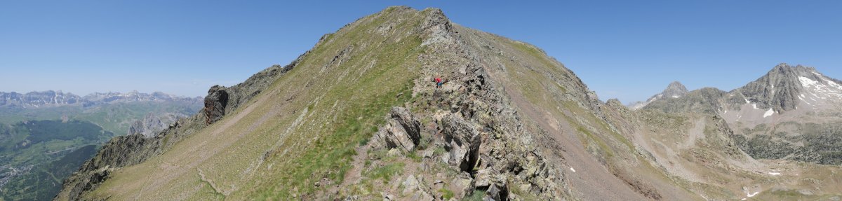 Musales, ekialdeko bizkarra (ohiko igoera).