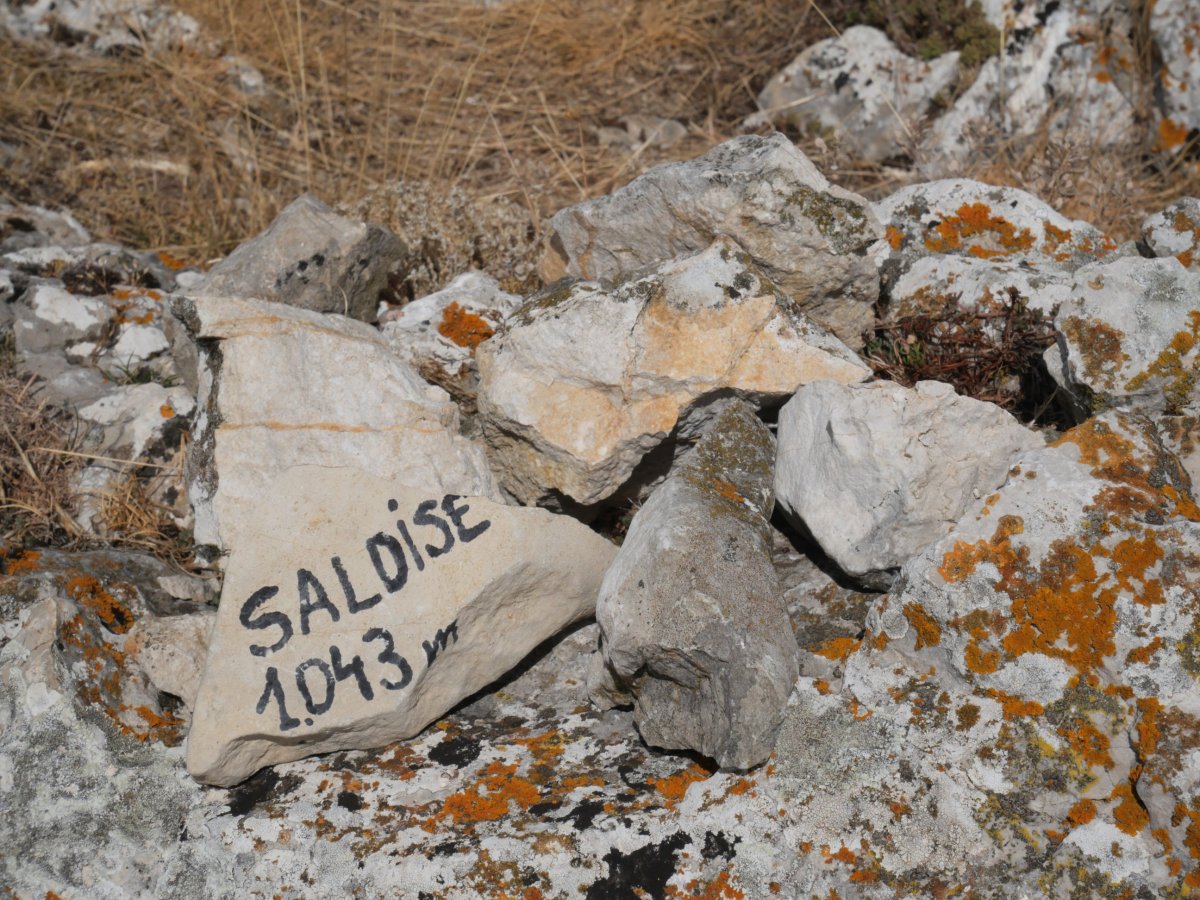 Saldise, tontorra
