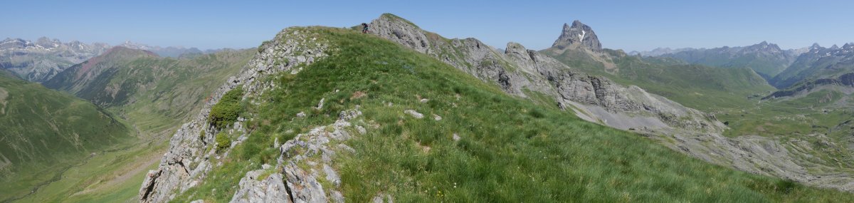 Cuyalaret tontorra ekialdetik