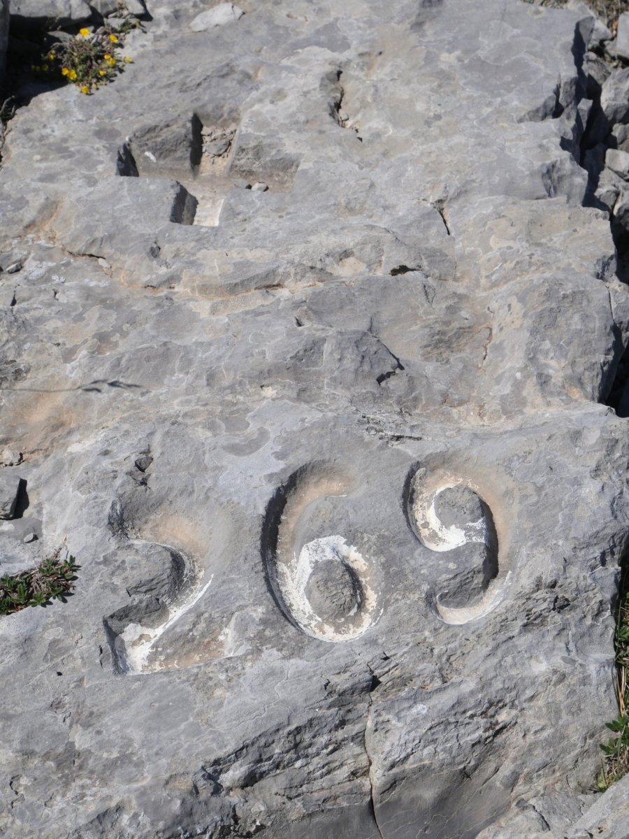 269. mugarria, Latras eta Le Pourten mendien arteko bizkarrean