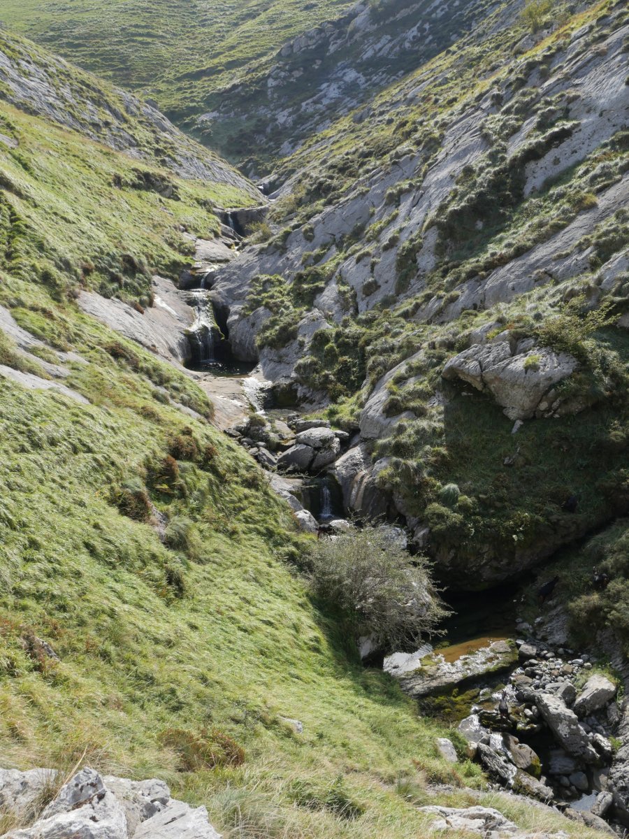 Arritzaga errekako urjauziak