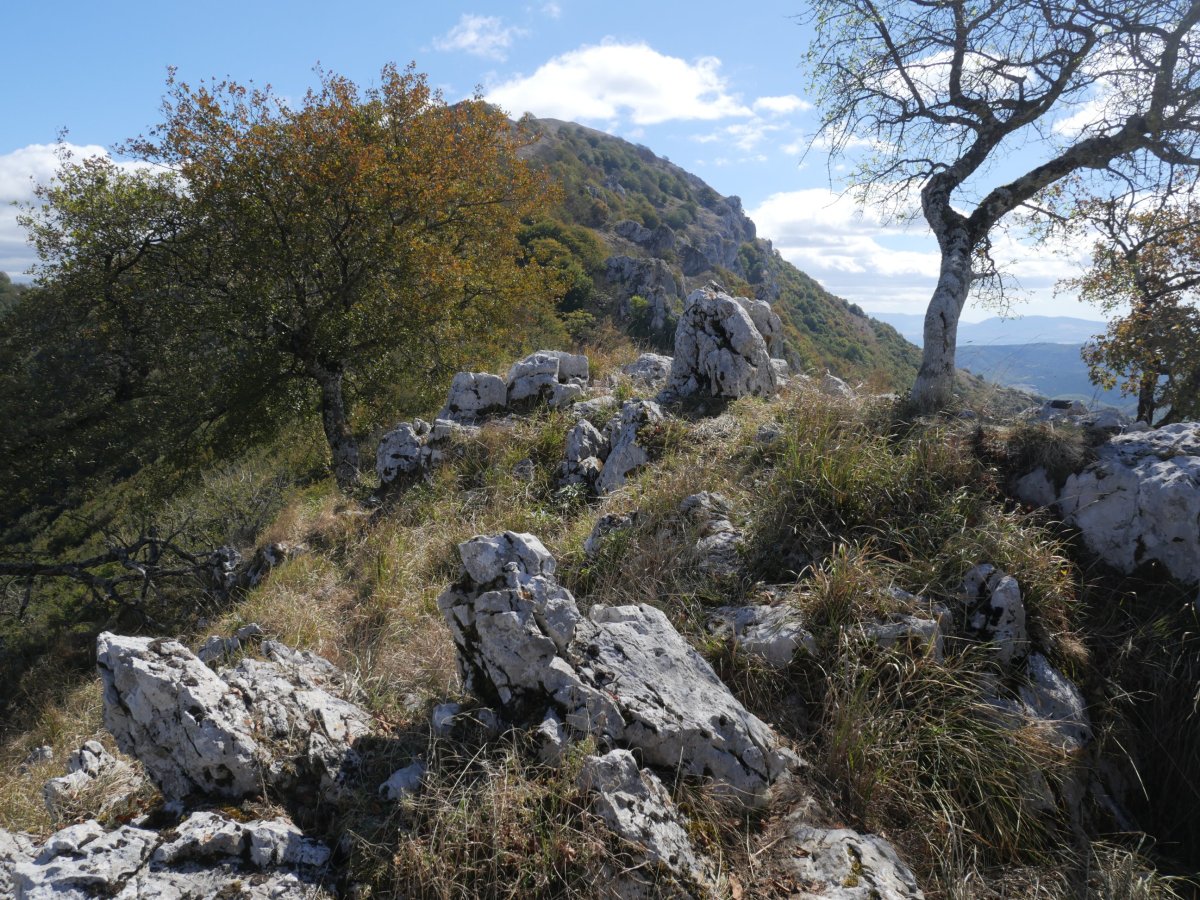 Mundumalkorra tontorra, atzean Erga