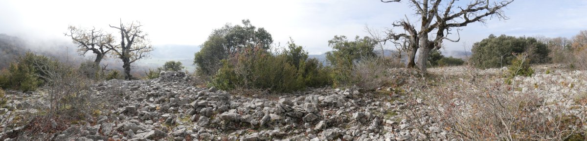 Eraztun-tumulua Obiarriko hegoaldeko ertzean