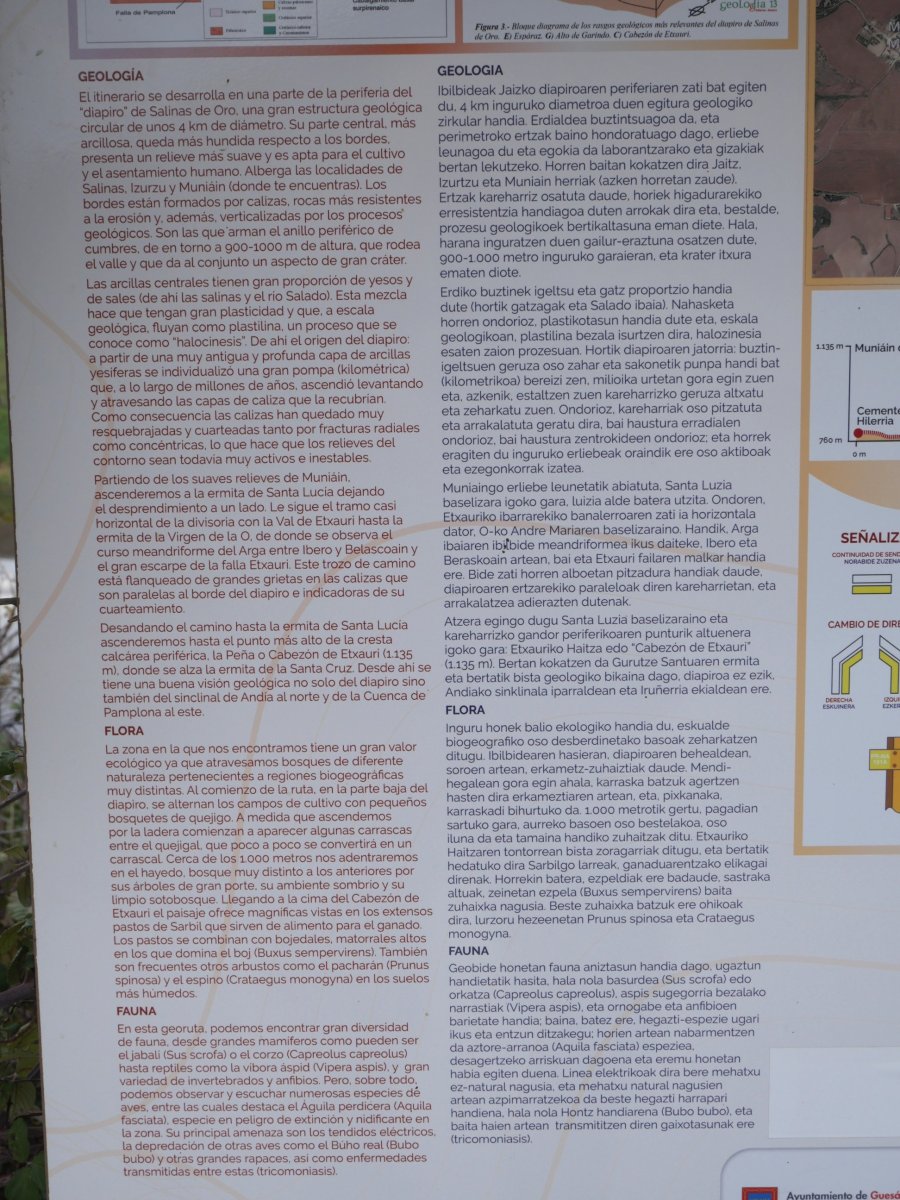 Bailararen inguruko argibideak