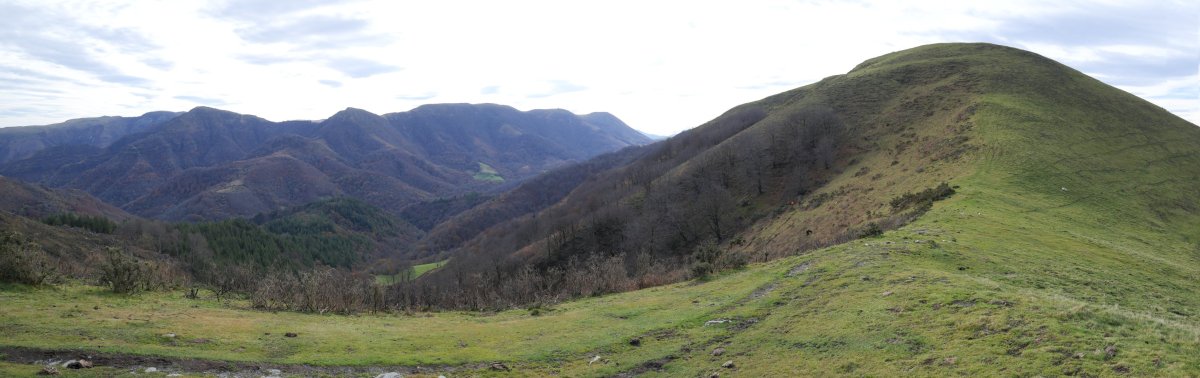 Lizartzu IEko bizkarretik