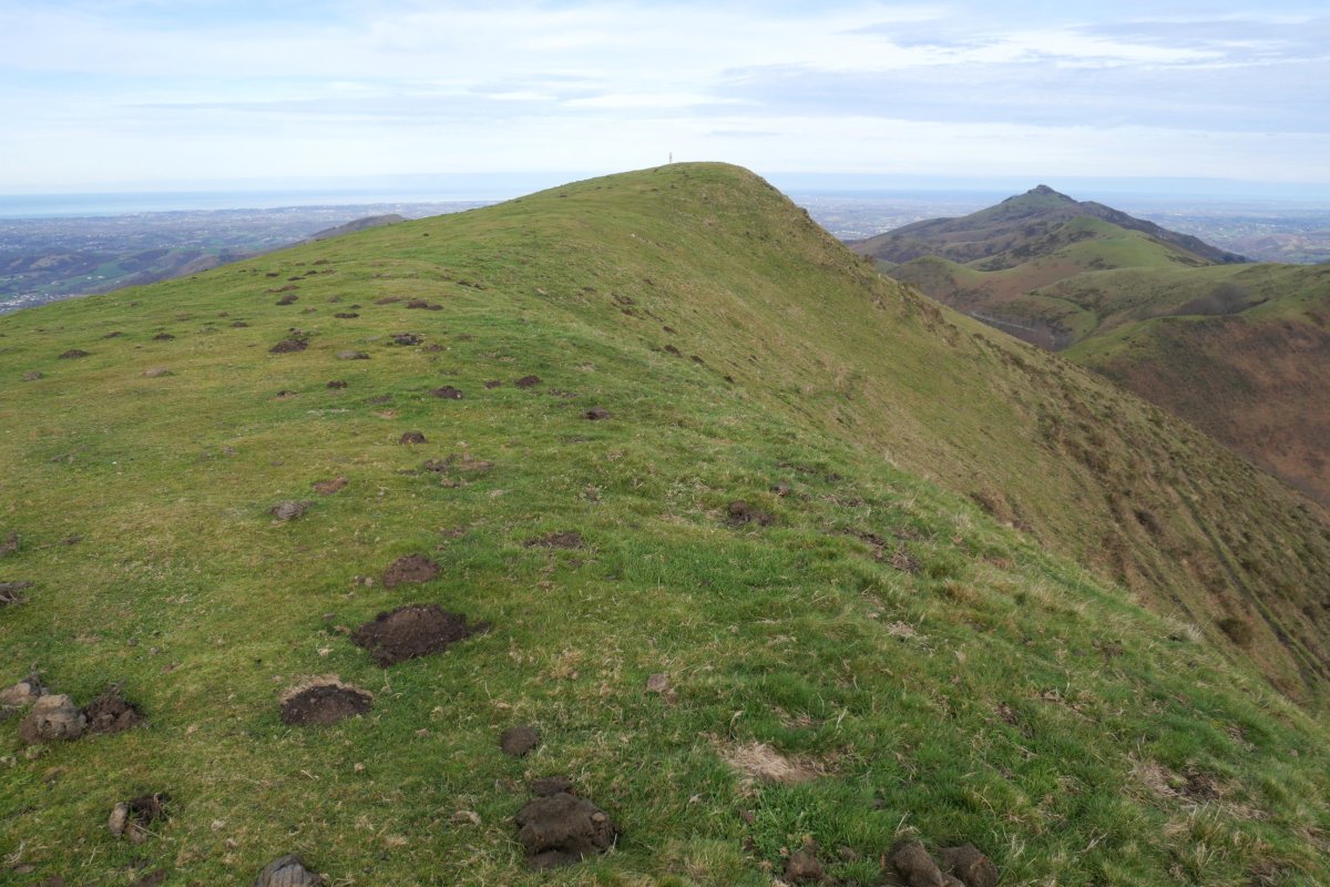 Lizartzu tontorra bere hegoaldeko bizkarretik