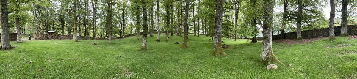 Arlamendiko Mintegia