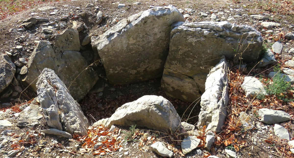 San Sebastian Ipar trikuharria, Anda Kuartango