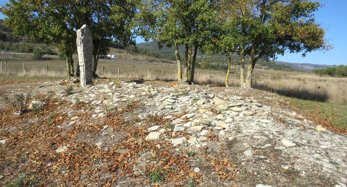 Gurpide Norte trikuharria, Katadiano-Kuartango