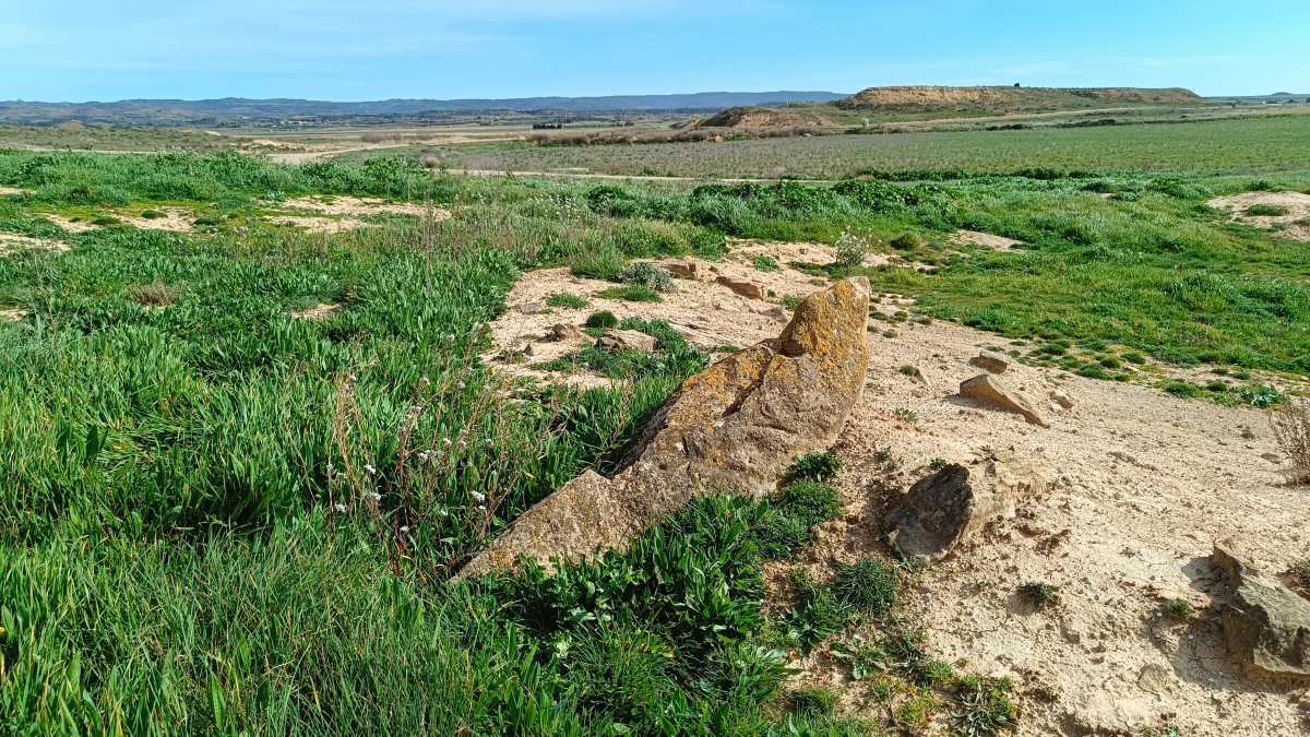 MONOLITO CORRAL DE LA FALCONERA 2024