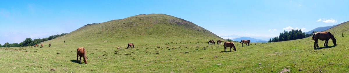 Txangoa, mendebaldeko lepoa