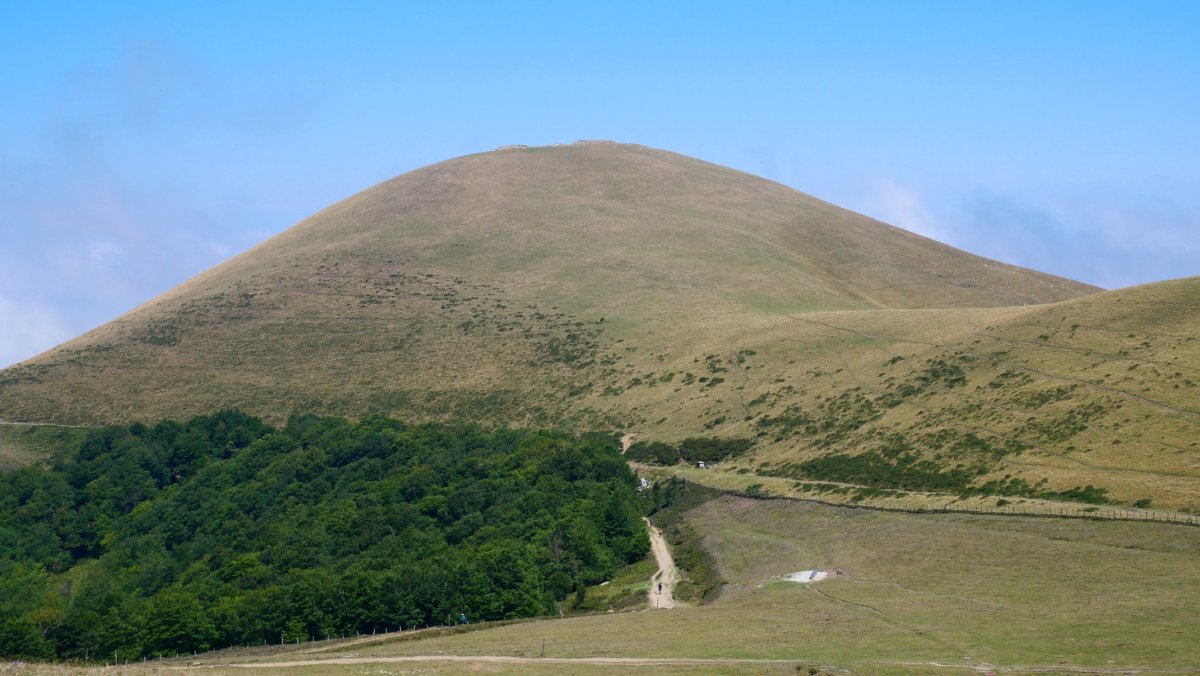 Leizar Atheka Bentarte lepotik