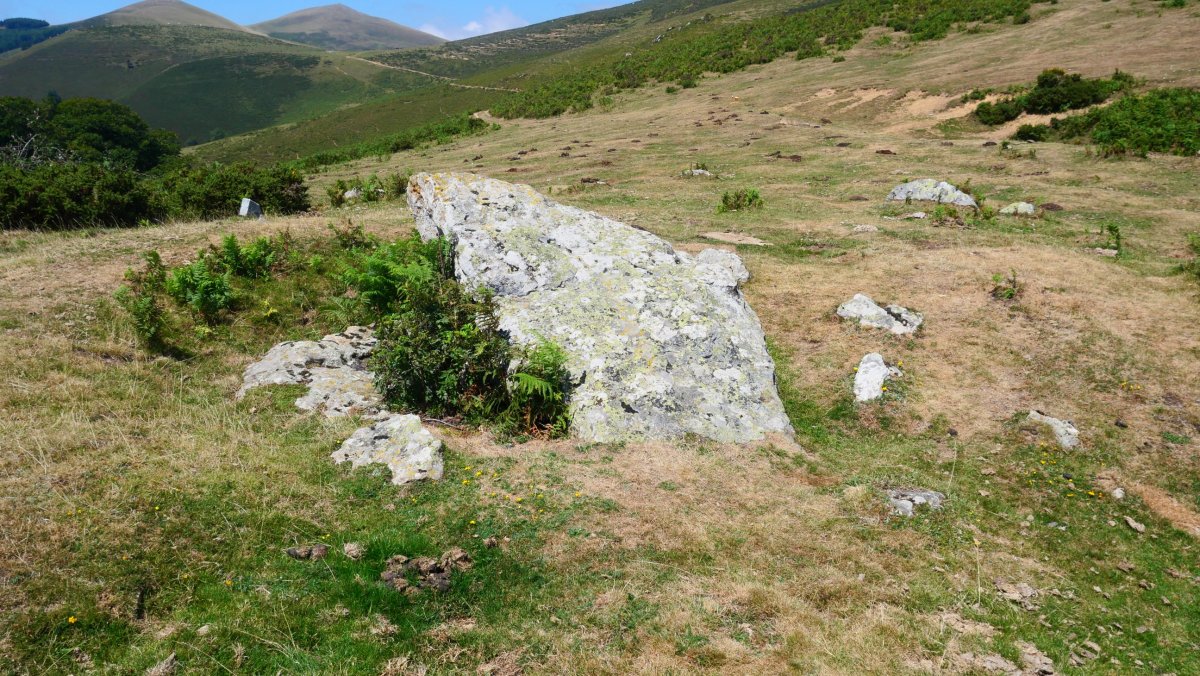 Soroluxe trikuharria