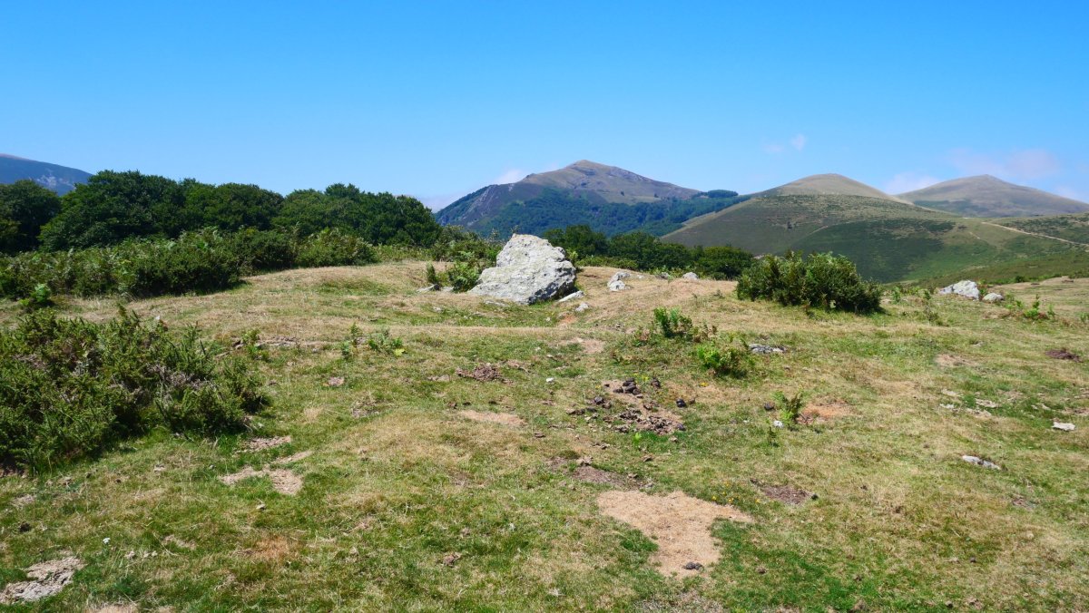 Soroluxe trikuharria