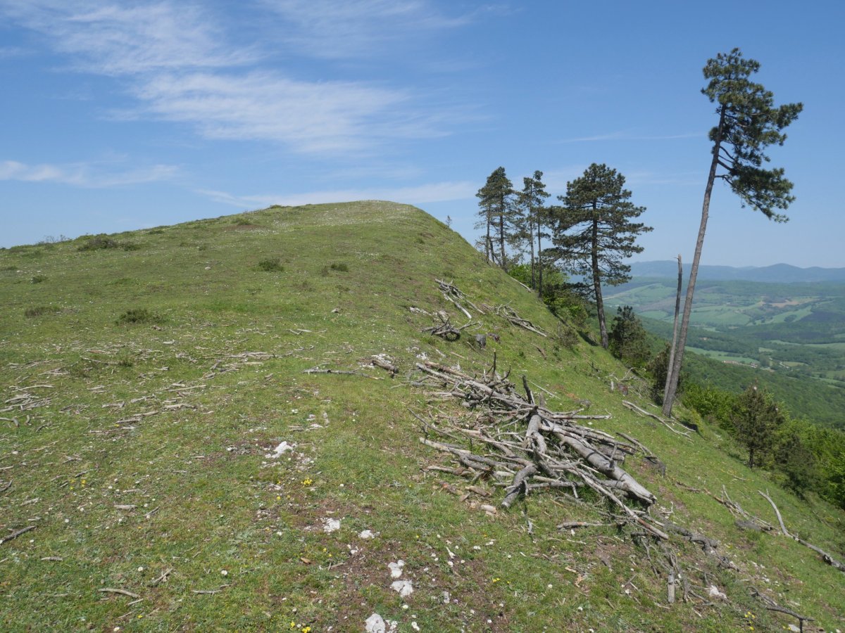Mintxegi, ekialdeko bizkarretik