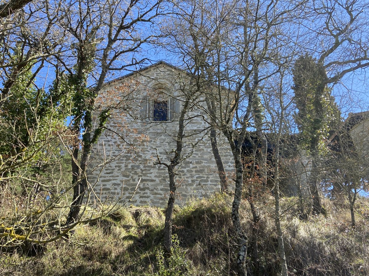 San Pedro Eliza. Kuartango (Zuhatzu Kuartango)